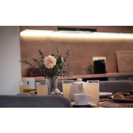 Ubytování v moderním apartmánu v srdci Dolní Moravy